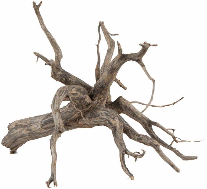 Comparer les prix de Sera - 32360 - Scaper Root Taille M Decoration 30 - 35 cm 1 Unite